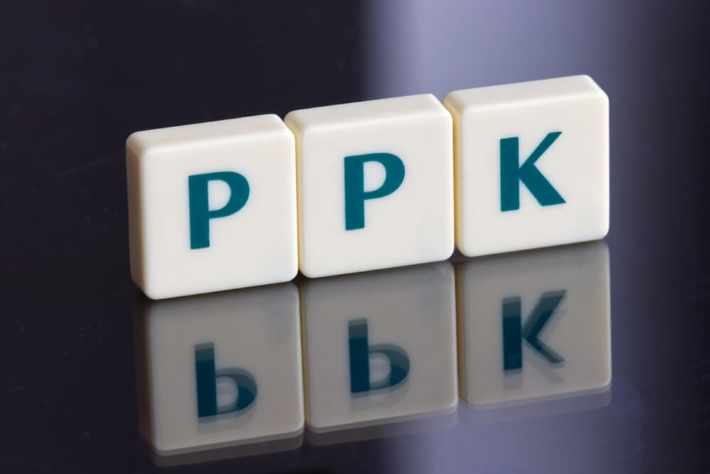 PPK – co to jest? Zasady programu pracowniczych planów kapitałowych